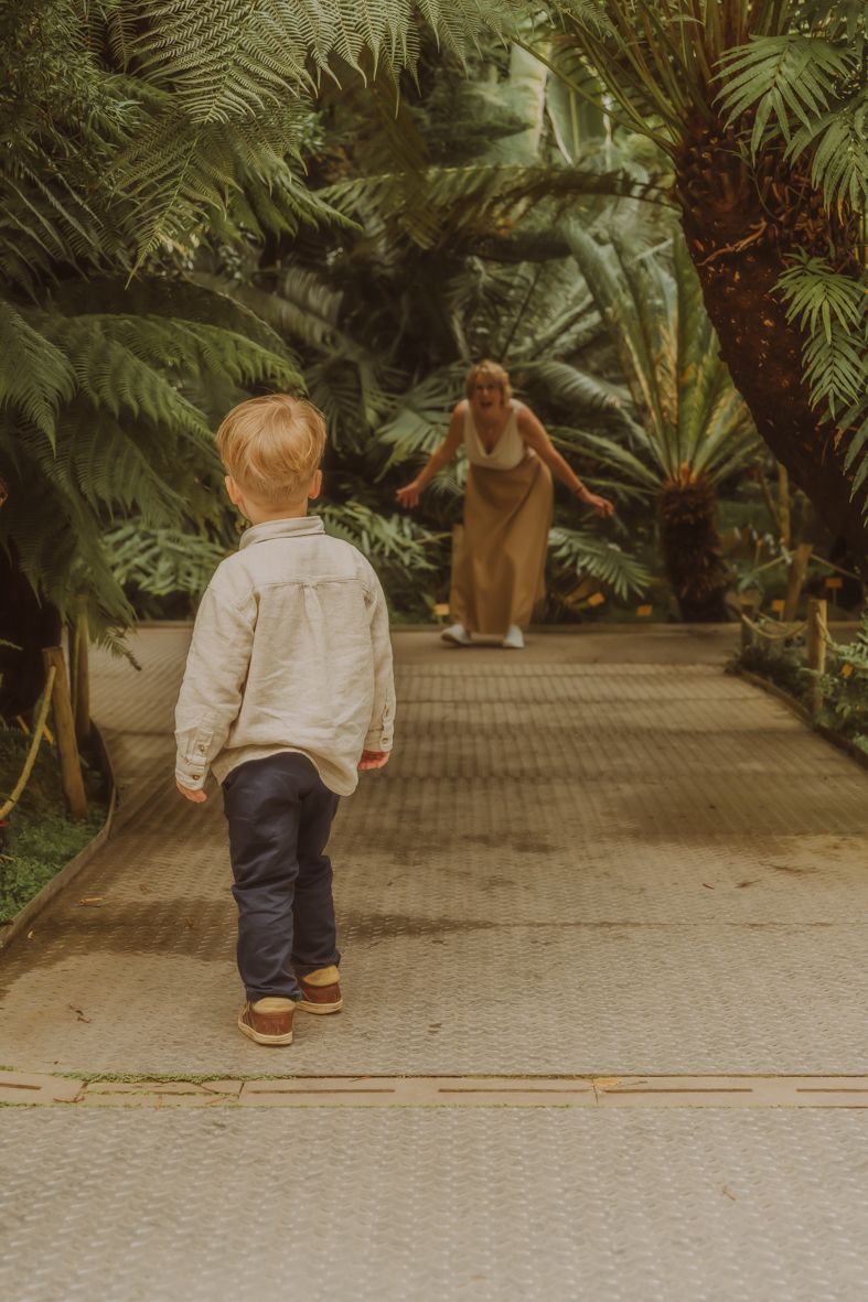 Kind wandelt tussen tropische planten
